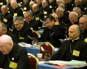 picture of USCCB Executive Chairs Pro abortion Group